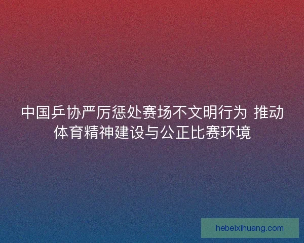 中国乒协严厉惩处赛场不文明行为 推动体育精神建设与公正比赛环境