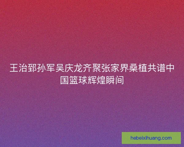 王治郅孙军吴庆龙齐聚张家界桑植共谱中国篮球辉煌瞬间